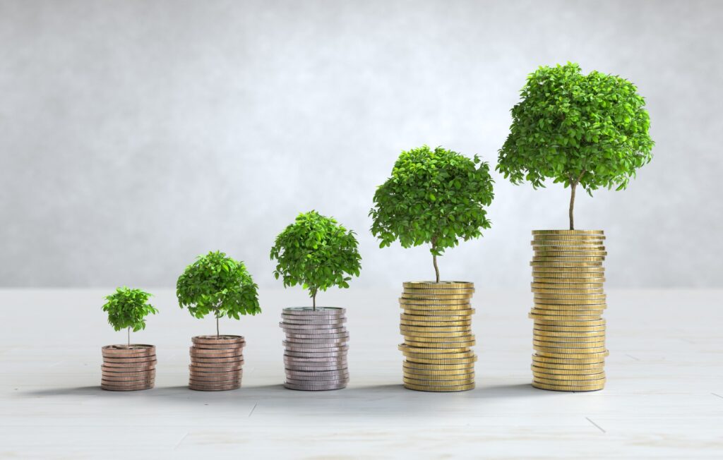Large cap fund