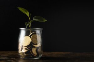 Balanced Hybrid Fund
